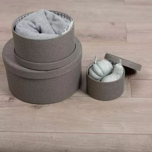 ID 6179 Дуб Сайленс