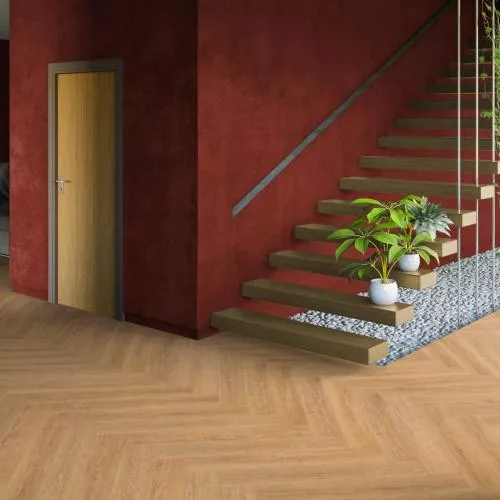 ID 206 Дуб Крепис