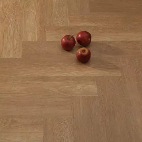 ID 207 Дуб Плантаго