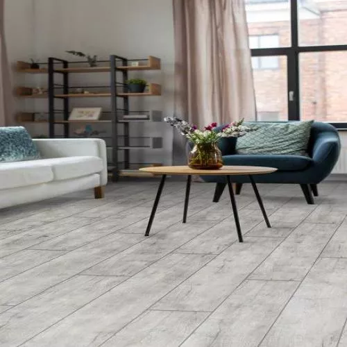 ID 77 Дуб Гольбейн