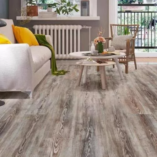 ID 08 Сосна Шик