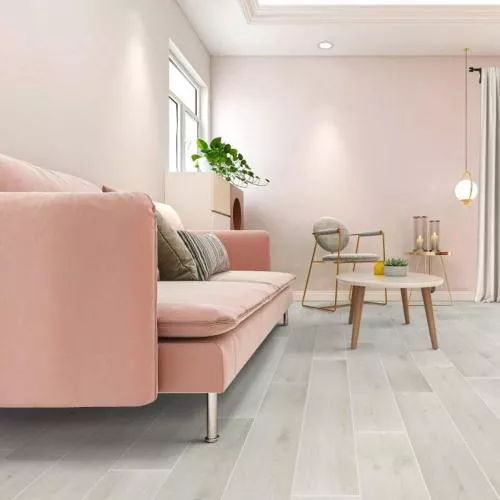 ID 09 Дуб Гайд