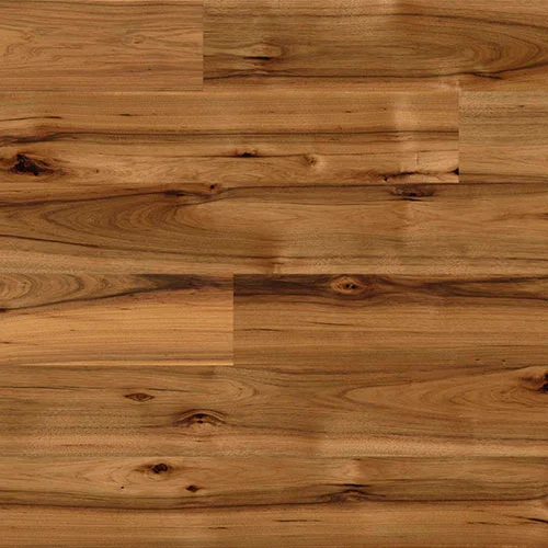 O071 Хикори Бариста