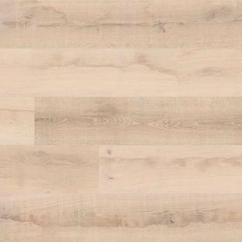 K4428 Дуб Равнинный