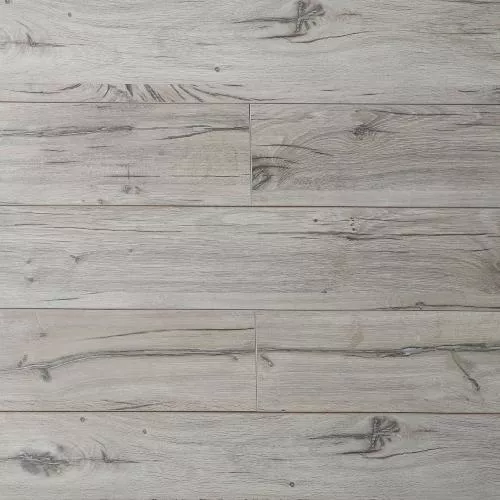 SF63 Дуб Северная звезда