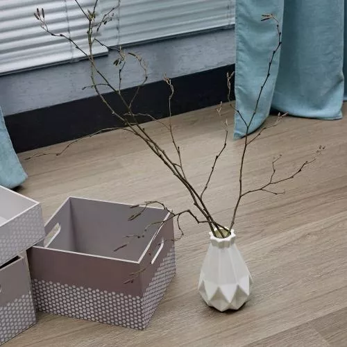 Kastamonu Wings FW007 Жако