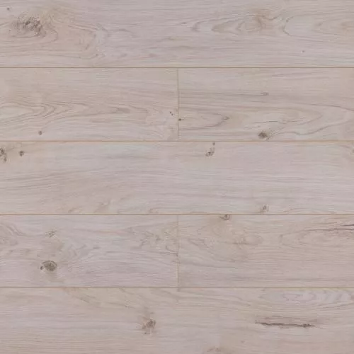 FP727 Дуб Найроби