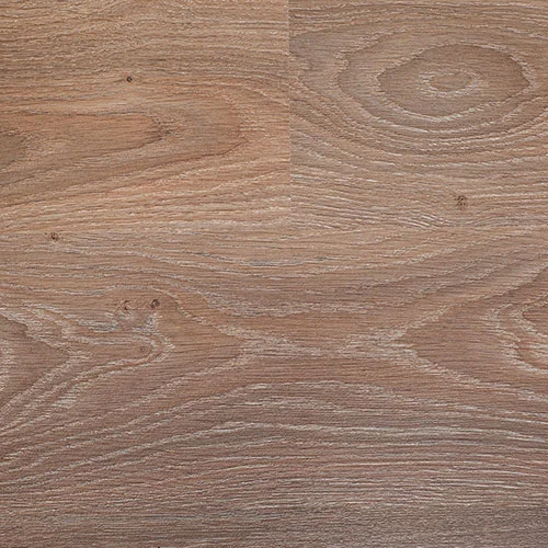 1135 Дуб Гломм