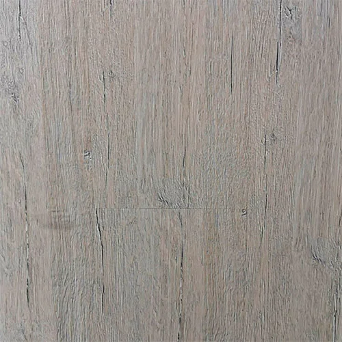 517 Дуб Реймс