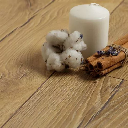 D3881 Дуб Мята