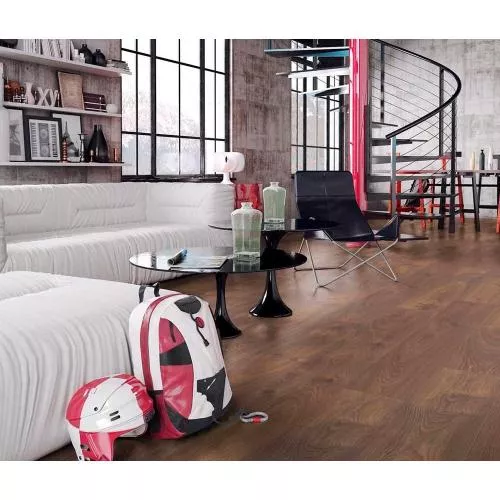 D3104 Дуб Страйд