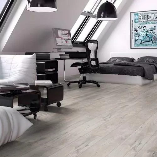 D3346 Дуб Чилаут