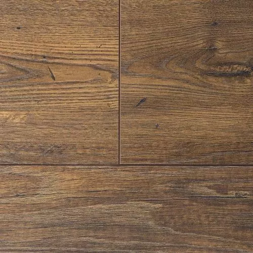 D3347 Дуб Леонардо