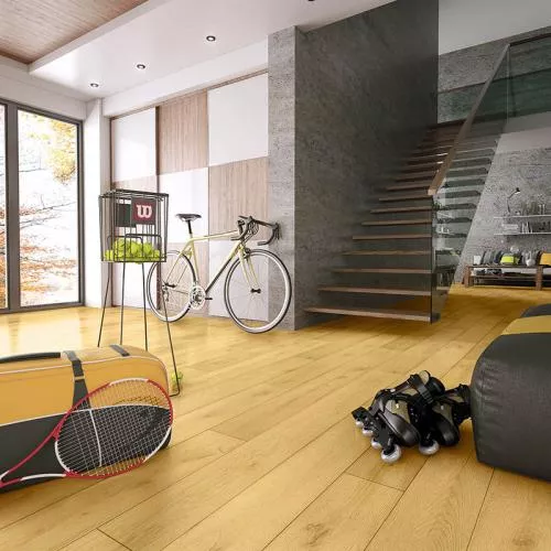 D4556 Дуб Гренада