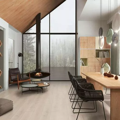 D4558 Дуб Сарагоса