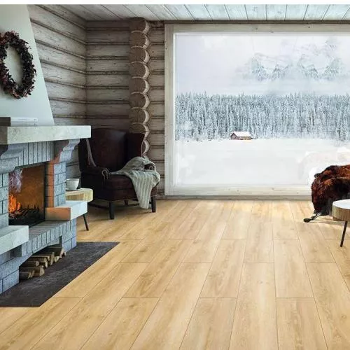 D4901 Дуб Толедо