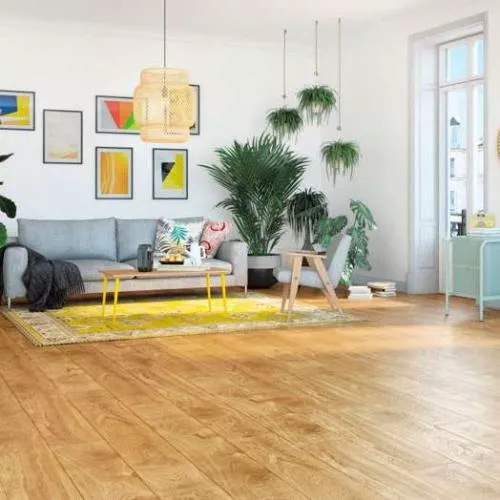 D 4588 Дуб Sunflower