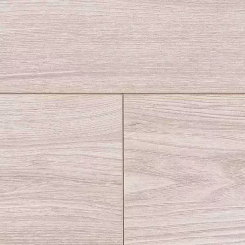 3709 Вяз Монет