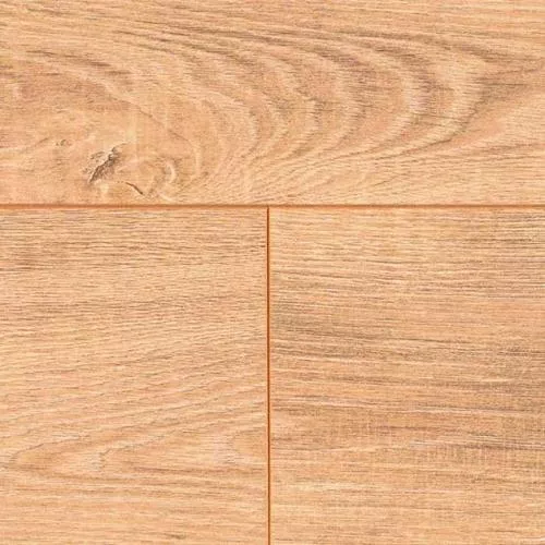 3751 Дуб Рембранд