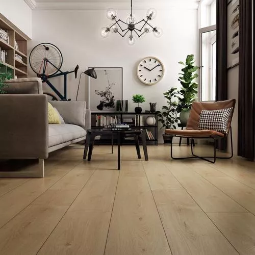 D40154 Дуб Музыкальный