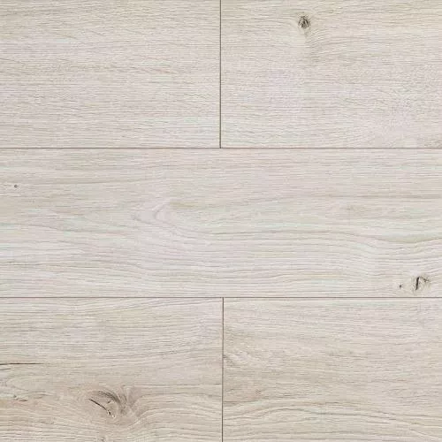 7703 Дуб Грас