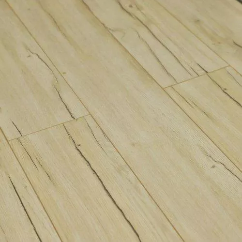 D7714 Дуб Горд