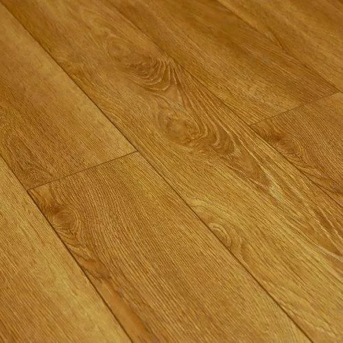 D7715 Дуб Ницца