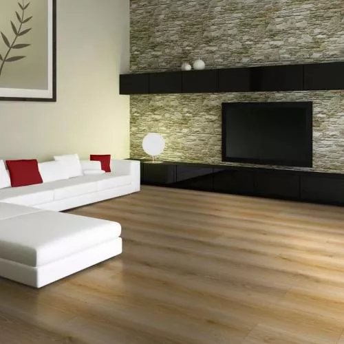 D4916 Дуб Оксворд