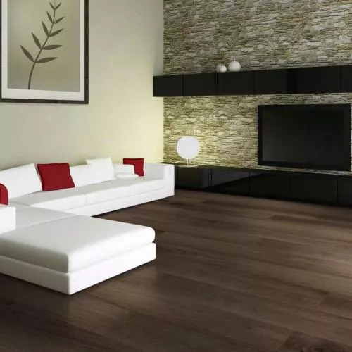 D4918 Дуб Вестминстер