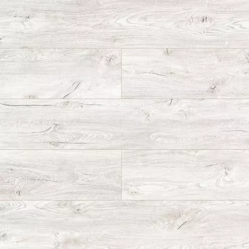 D3941 Дуб Шарлотта