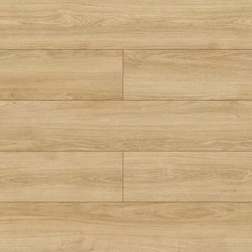 D4531 Дуб Роза