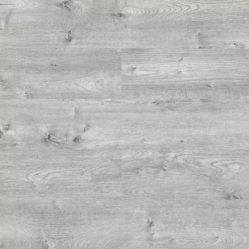 D4911 Дуб Тейлор