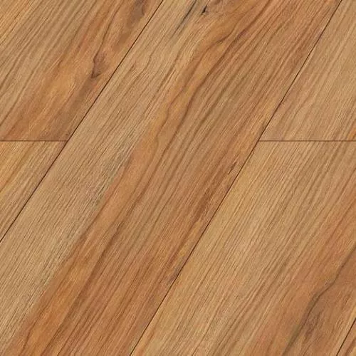 D1035 Дуб древний