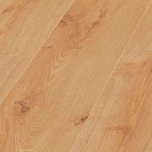 D4571 Дуб Дева