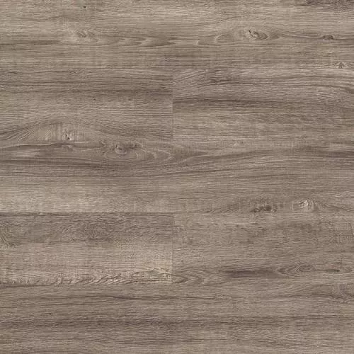 D3749 Дуб Наоми