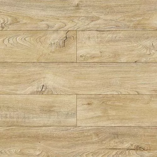 D3947 Дуб Табита