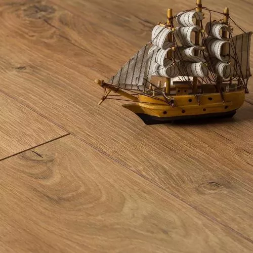 D3787 Дуб Балтика