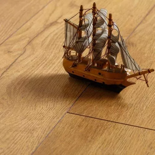 D3876 Дуб Карибский