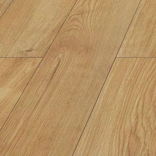 D4563 Дуб Каспийский