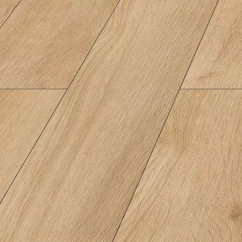 D4564 Дуб Японский