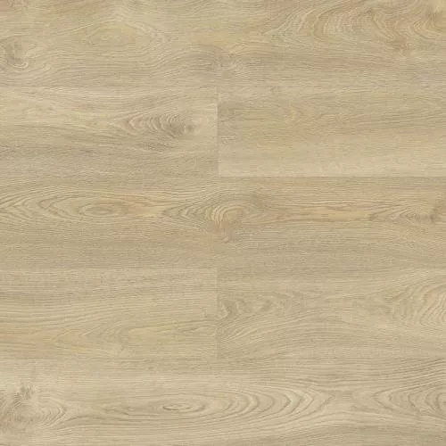 D40094 Дуб Эрис