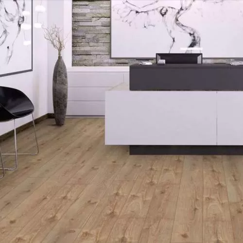 3481 Хикори Диско