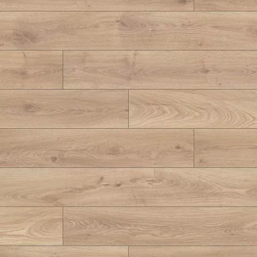 K453 Дуб Biscotti