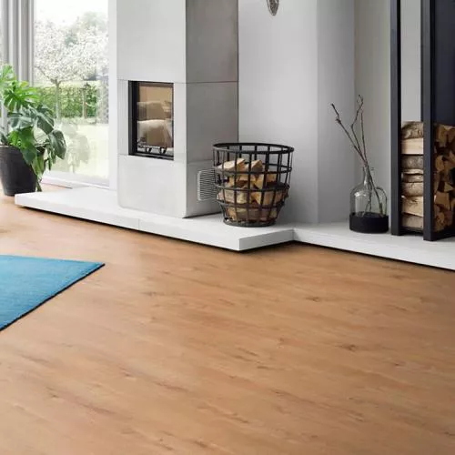 5985 Дуб Шервуд