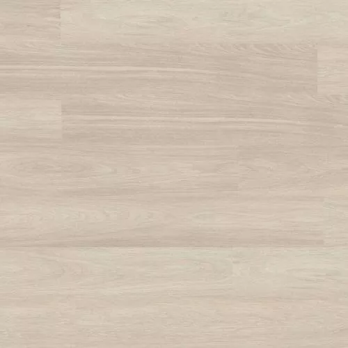 5303 Дуб Альпийский