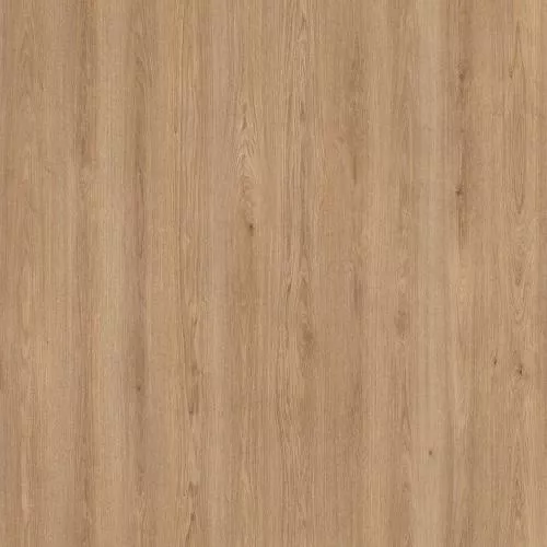 D50517 Дуб Миллор