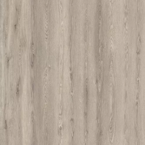 D50537 Дуб Трайон