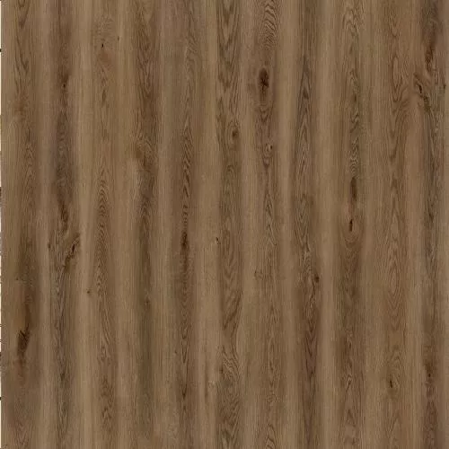 D50667 Дуб Федель