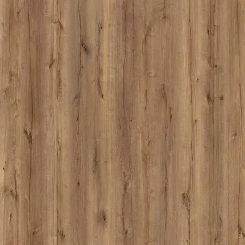 D50677 Дуб Лоусон
