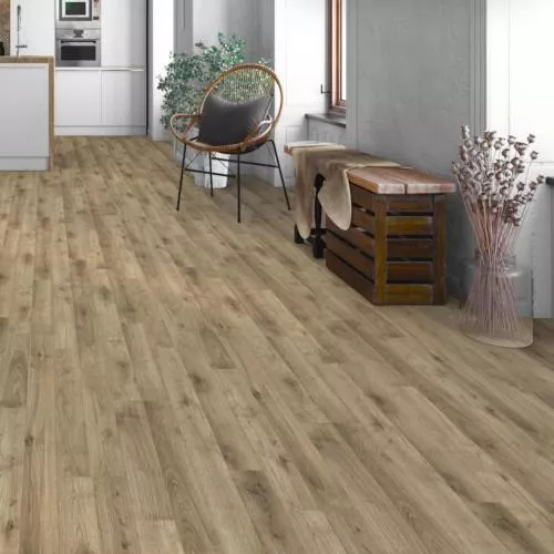 D50387 Дуб Леонис